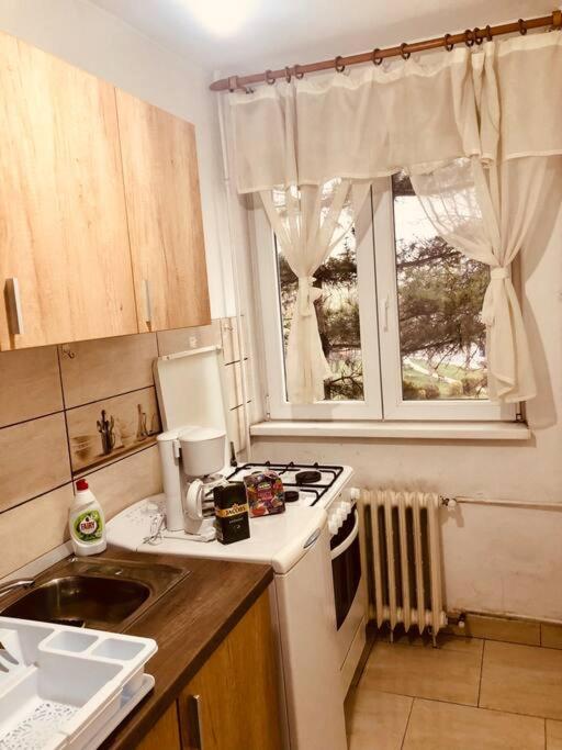 Nice Apt Near Spitalul Judetean, All You Need Lr14 Timisoara Ngoại thất bức ảnh