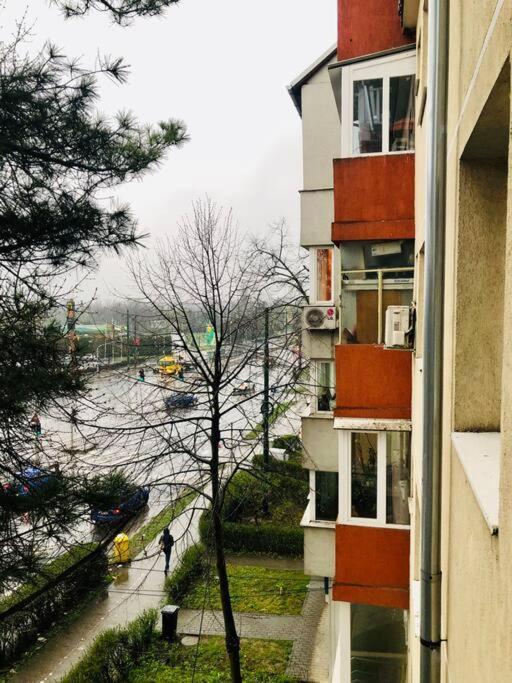 Nice Apt Near Spitalul Judetean, All You Need Lr14 Timisoara Ngoại thất bức ảnh