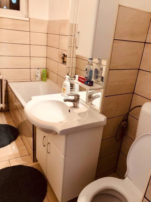 Nice Apt Near Spitalul Judetean, All You Need Lr14 Timisoara Ngoại thất bức ảnh