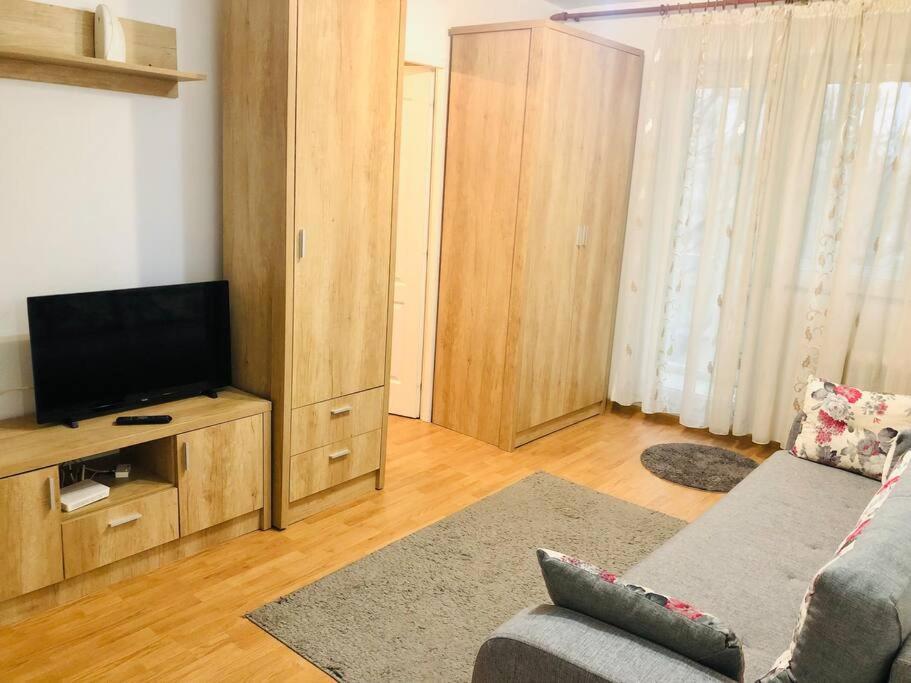 Nice Apt Near Spitalul Judetean, All You Need Lr14 Timisoara Ngoại thất bức ảnh