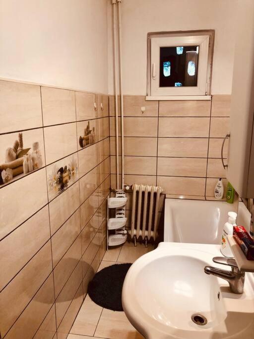 Nice Apt Near Spitalul Judetean, All You Need Lr14 Timisoara Ngoại thất bức ảnh